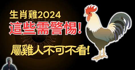 1981 屬雞|【1981 雞】1981 雞年運勢大揭密：五行、大運及 2024 年運程！